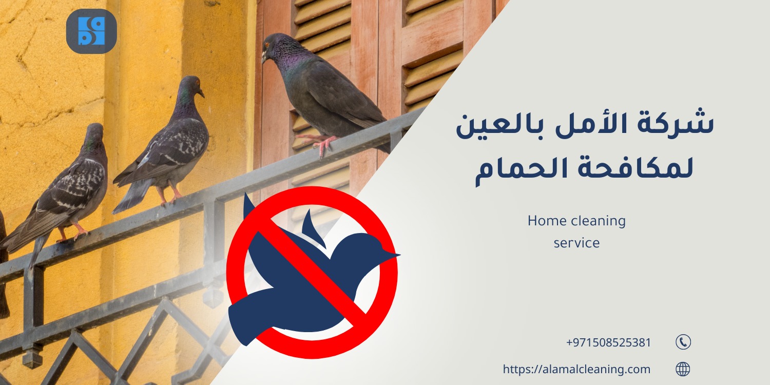 شركة مكافحة حمام في العين | شعاع الأمل