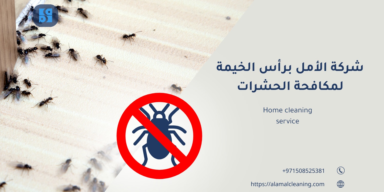 شركة مكافحة حشرات في رأس الخيمة