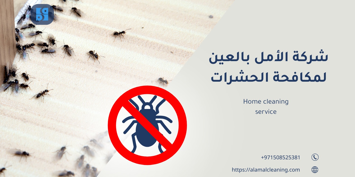 شركة مكافحة حشرات في العين